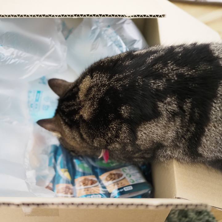 2cd953ed 5c98 48c7 9da7 dc72f4a31e89 1615026560036