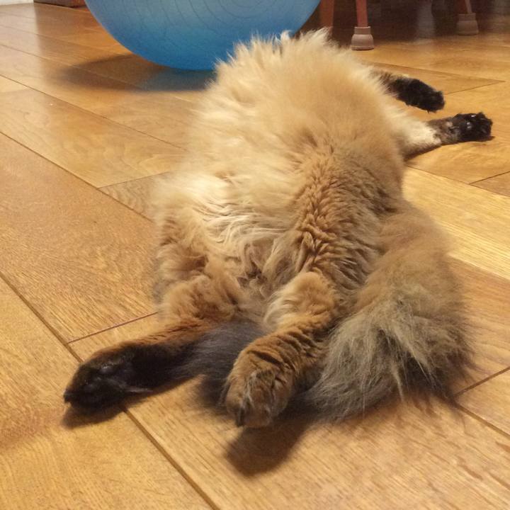 2cd95dd9 de6d 49af 9658 8d0b607fe77b 1625407497092