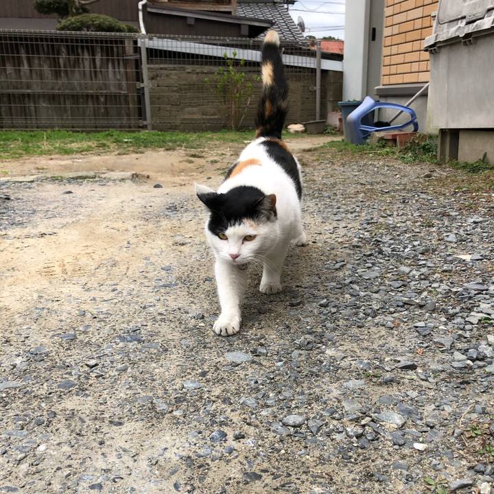 2cd96ca0 d720 43e9 87cd 9f5fce6d4ee0 1615156229601