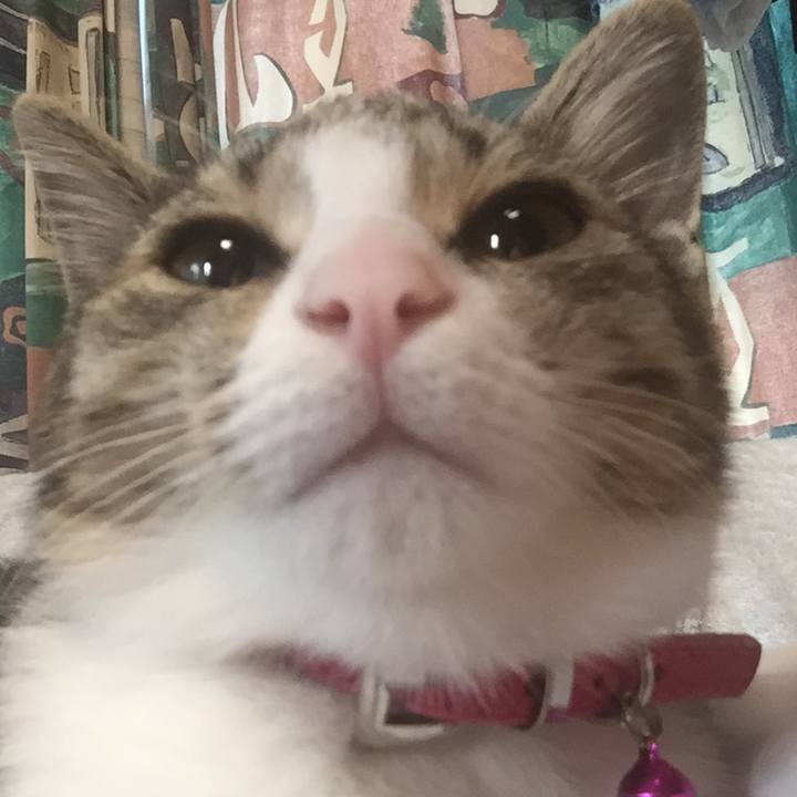 2cd9812c bdb9 4a1a 8cfa c5b4e74c6e02 1660974315531