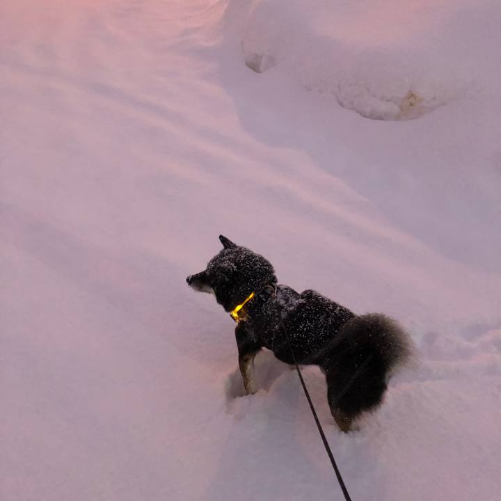 2cd989a7 2080 46aa 9ea3 9142e3a10d8c 1544764788920