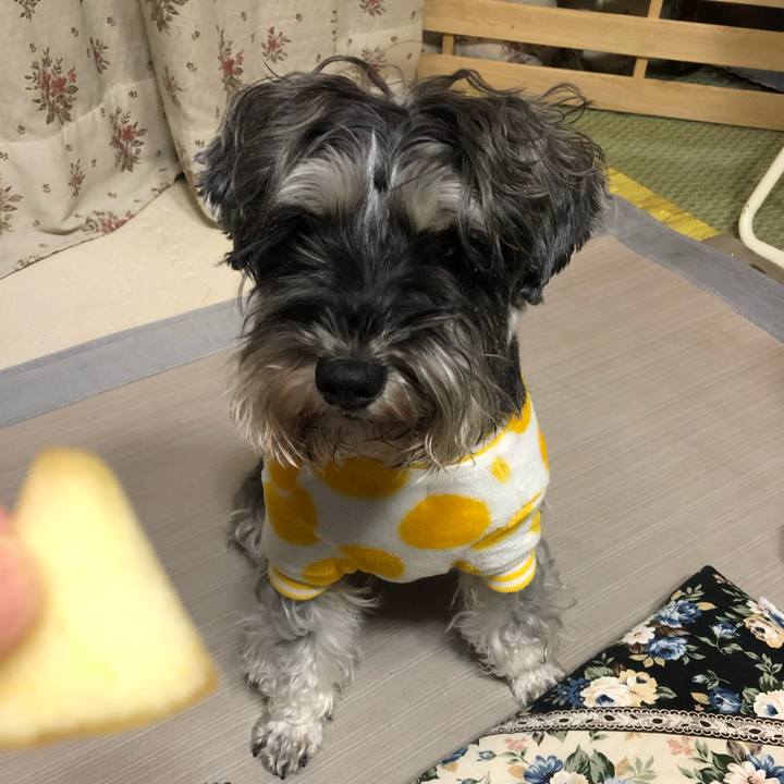 2cd98c52 6764 46c1 9cb4 3c418b672274 1612870503807