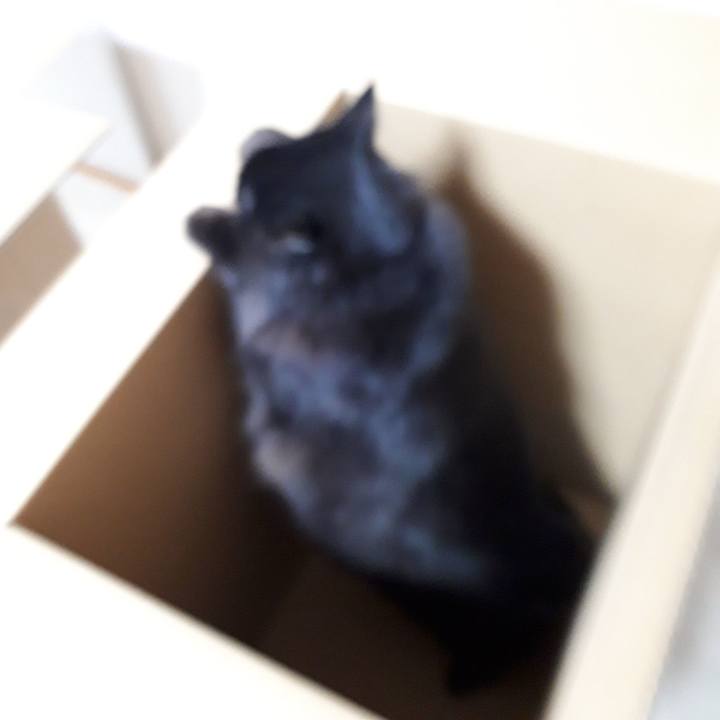 2cd9a823 d1b6 4465 8419 4e1cd0e58e10 1517951971689