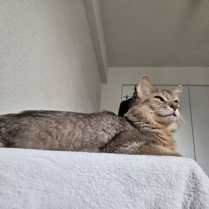 2cd9ac41 5821 42b4 a59f d00ac81f3542 1718516388903