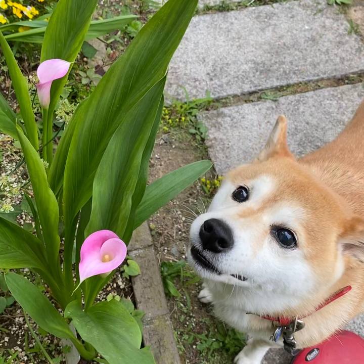 2cd9ba8e 64e6 45b3 8f31 37ae65d427f4 1623544704054