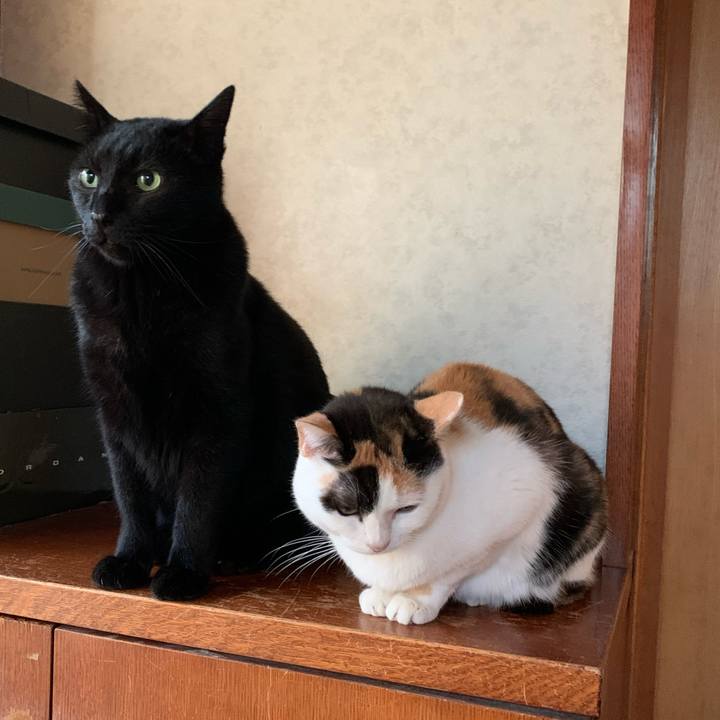 2cd9c02c 260a 46c7 b3de f4e14db20d9d 1574557444896