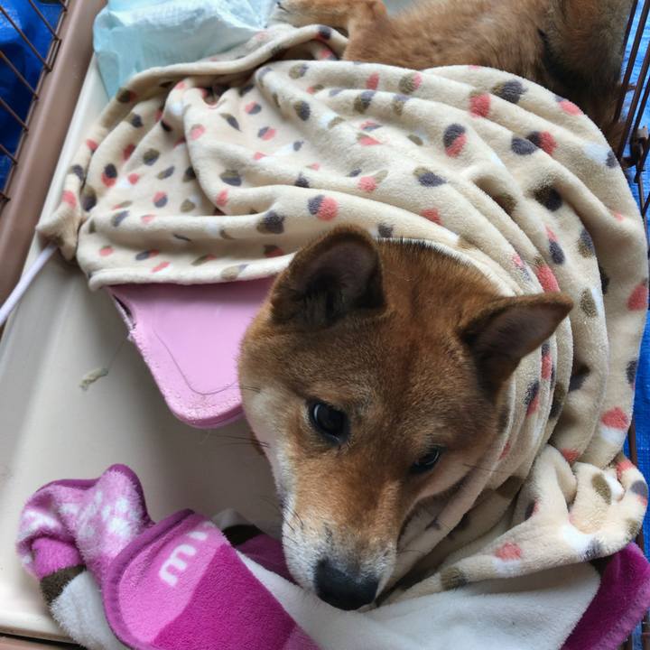 2cd9cdb7 7705 47b2 8de8 cc8103292003 1524696289697