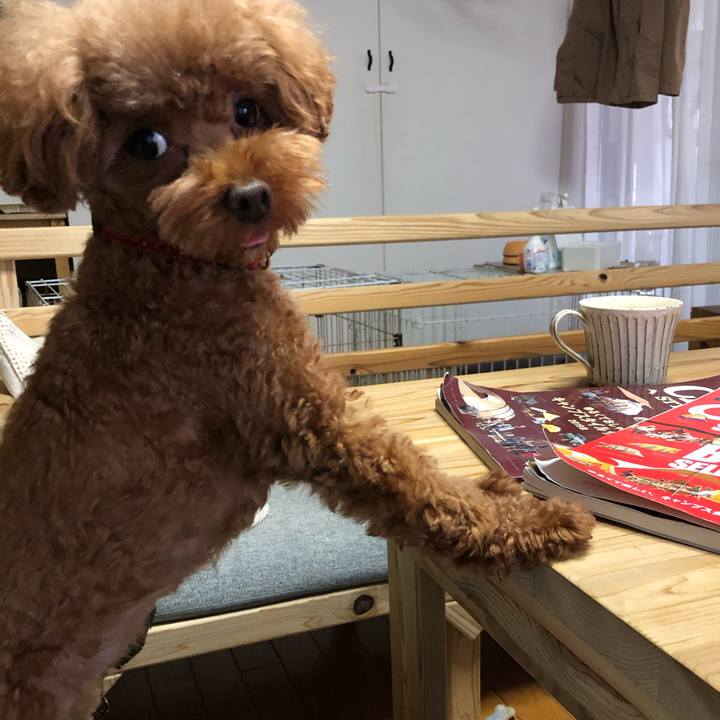 2cd9e504 004d 4715 956b 0024fa7807fc 1598741982600