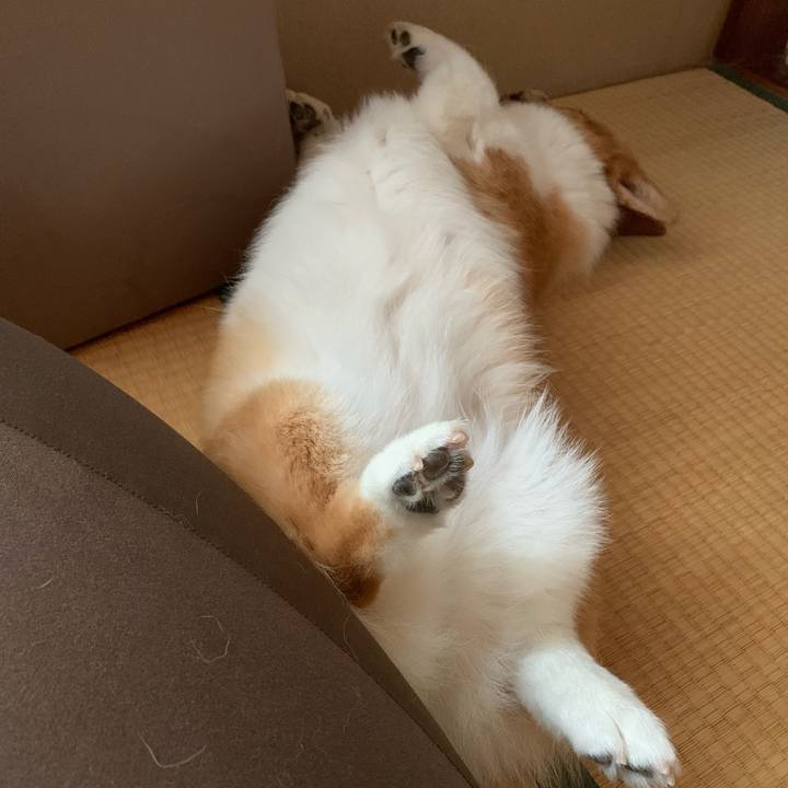 2cda1859 51b1 422d b316 22f8ecf3b8a3 1628919254307