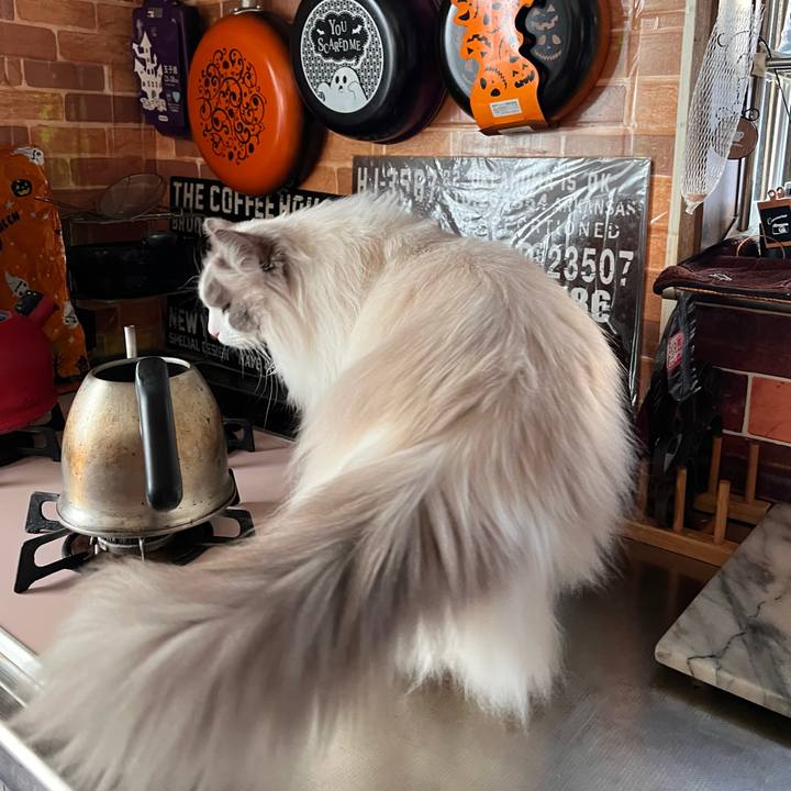 2cda3120 80f8 4449 a889 d6e229a8151d 1730318204755