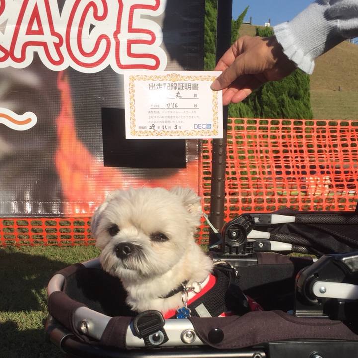 2cda52b8 a358 4516 bff4 5c5b62898117 1509718412355