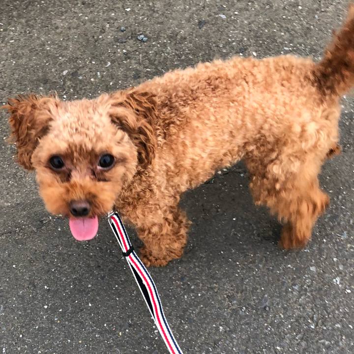 2cdacc49 691f 43db b249 f37a1dd4e7b2 1534717970779