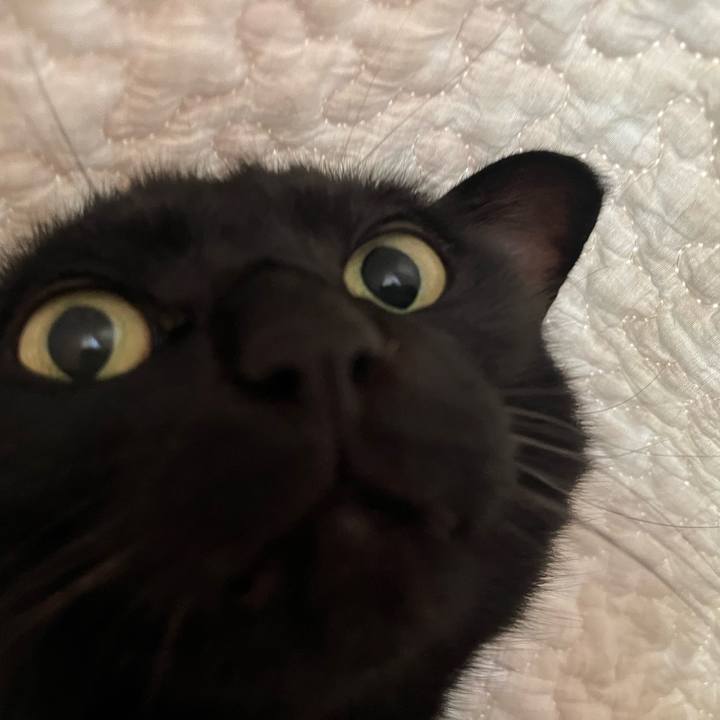 2cdaf7d1 ac45 4657 b3e6 35682ded8db2 1689465696240