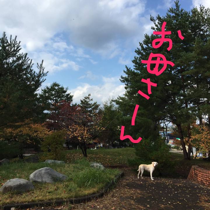 2cdb16d6 a252 427d 8c78 764b3b4c77f3 1509878928135