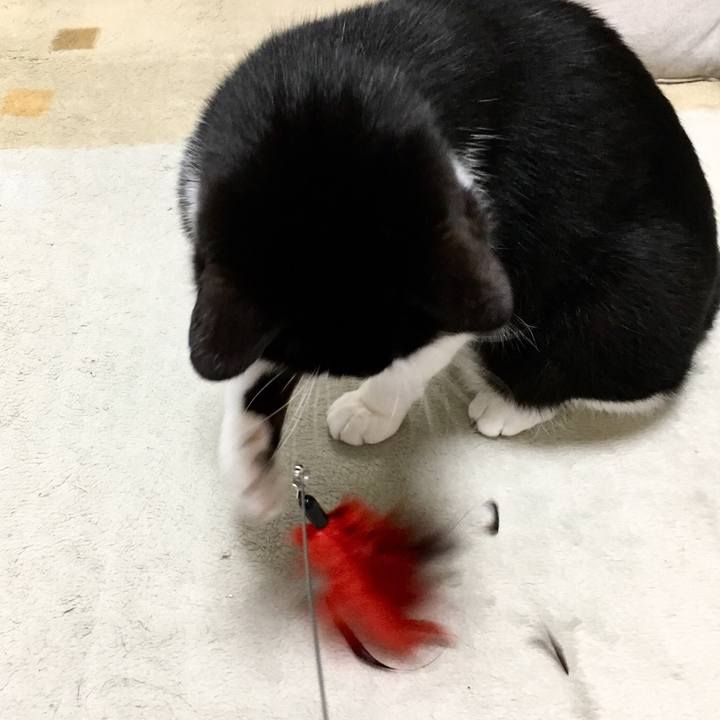 2cdb1cf7 64e8 40f8 af39 0636c6309afb 1522738161850