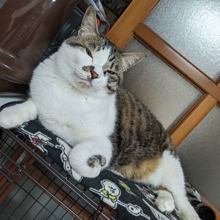 2cdb247a 09d3 4bac 8b45 eac15fa92d0e 1713231938376