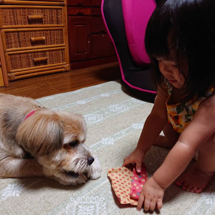 2cdb3546 f53b 48df a798 ab5fff678541 1597498194502