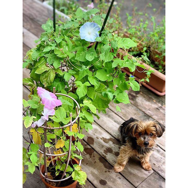 2cdb3933 cb14 4a69 acd7 1673cc379f08 1631313187111