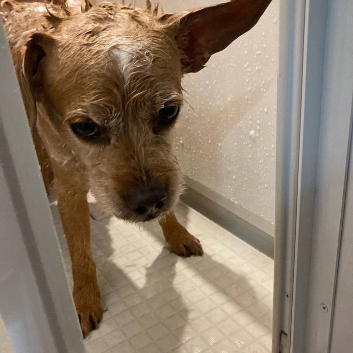 2cdb5339 8cfa 4b78 8ff0 700a0f4c38e5 1658954449677