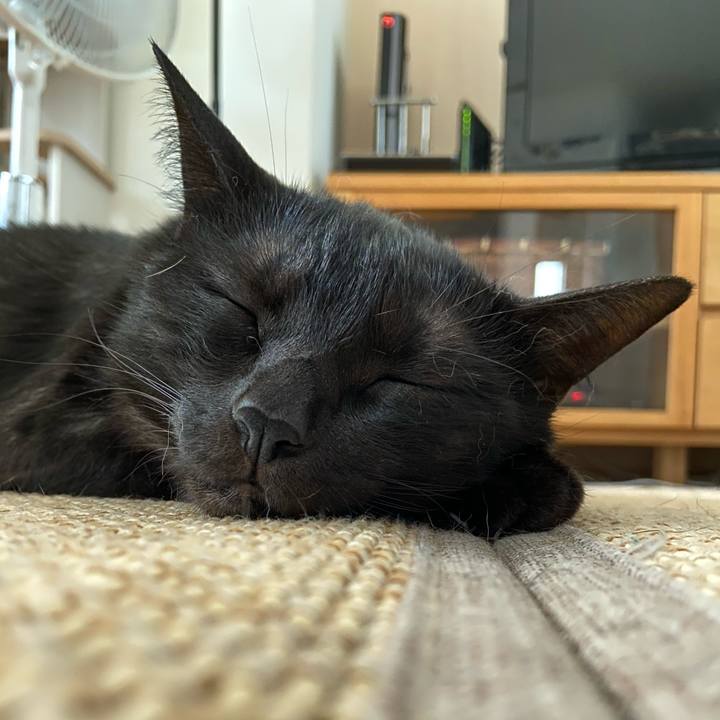 2cdb53ab c123 4e6f bb6d bf1e585f8628 1594292525711