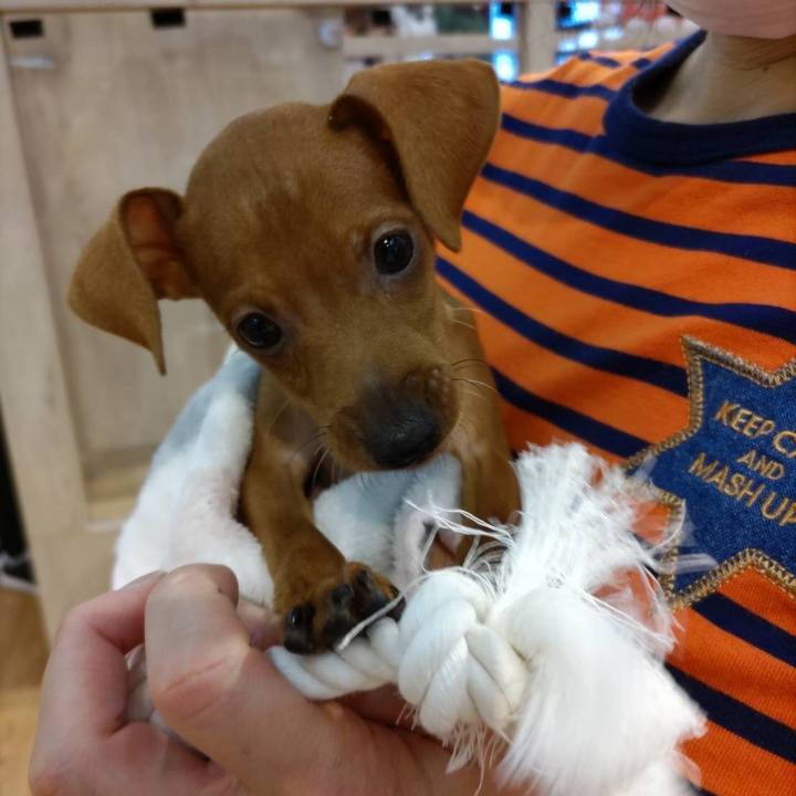 2cdb5ccb eae7 4cee 80b5 327b43283b6e 1667641358547