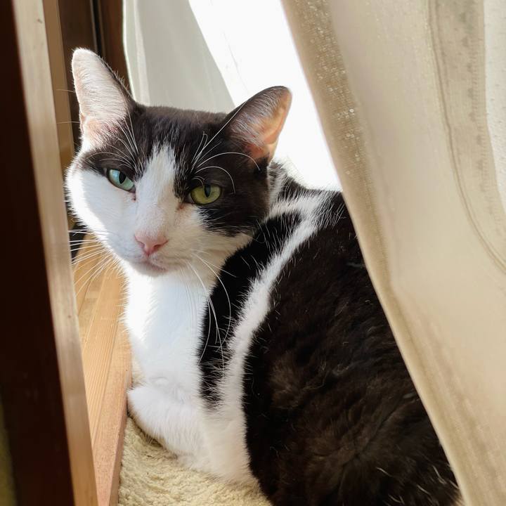 2cdbf775 cdf5 45db 926c 54c506d5f7ef 1634783509321