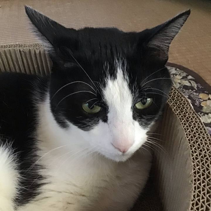 2cdc0c13 ad36 4845 b754 54ce9ad9d0fb 1746253245151