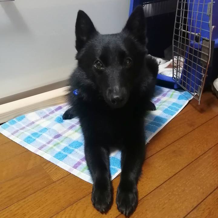 2cdc1294 0a8f 428b b7c0 7bdda3c290f3 1627167640103