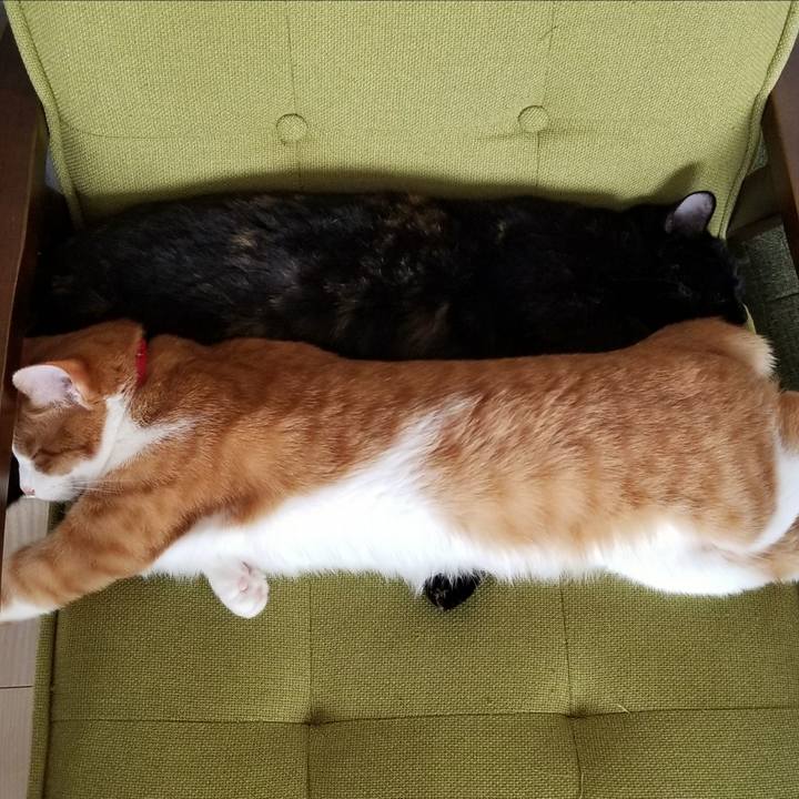 2cdc286e c1dd 4f74 be2a fa04521af1c8 1522591479801