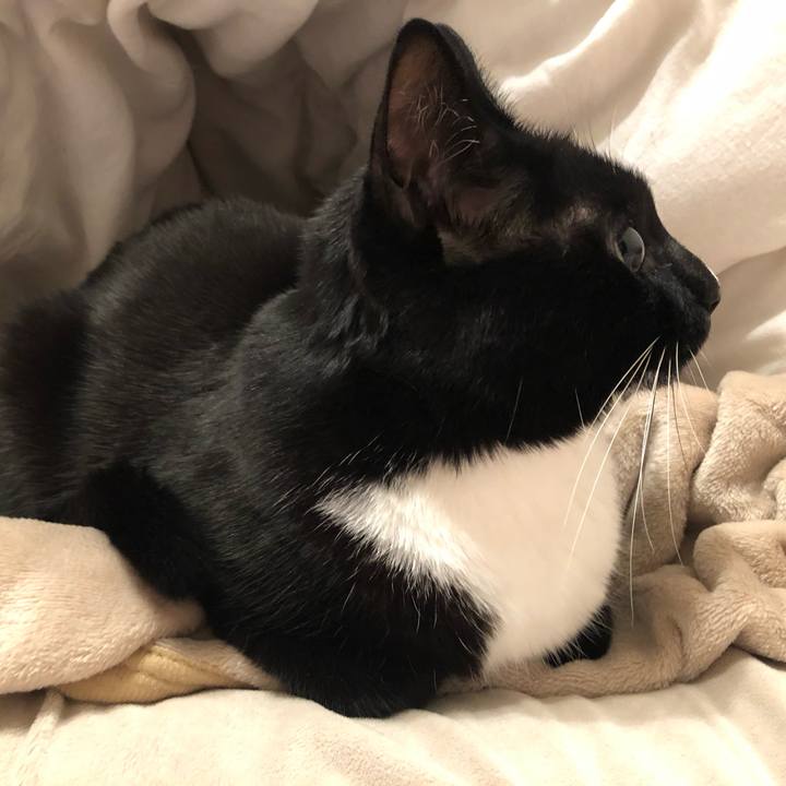 2cdc4106 6fcc 49d7 a56a 2b45b1ecfc55 1548366837861