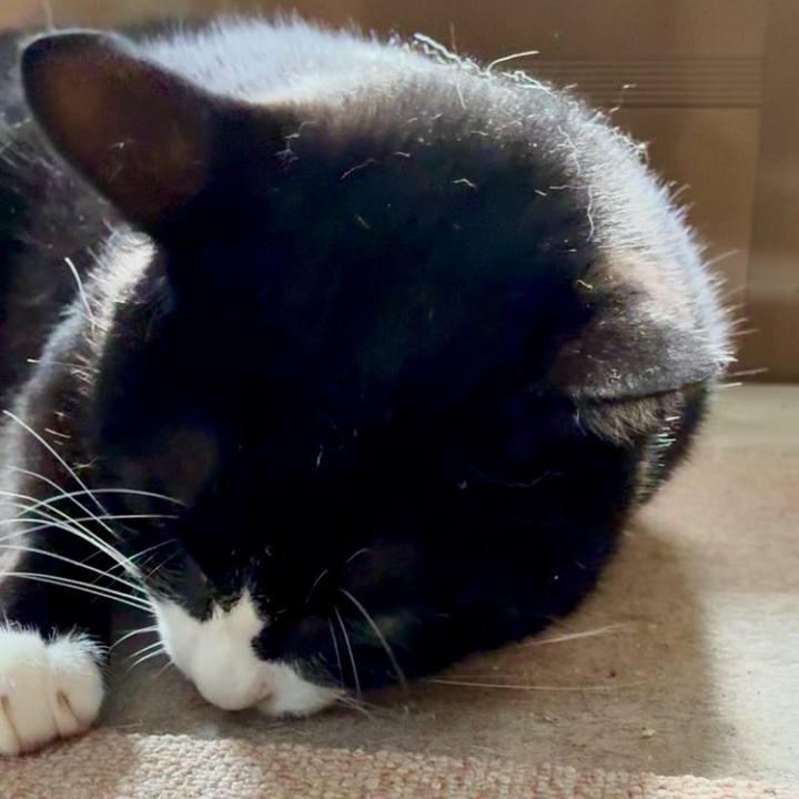 2cdc64d5 f343 45fc a3fa a7ed7f3af3a4 1759809212465