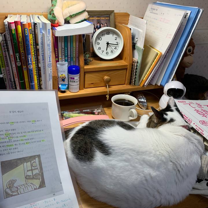 2cdca516 371f 44d8 846f 26e029938144 1638740903720