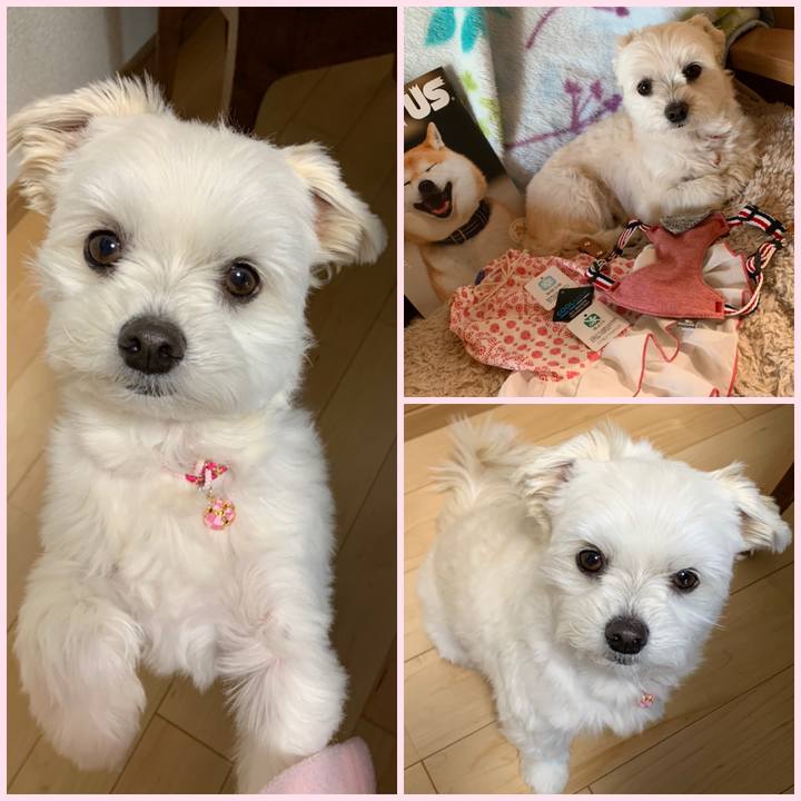 2cdd124b f02c 447c 89fa a146b9c9b5f7 1586244930478