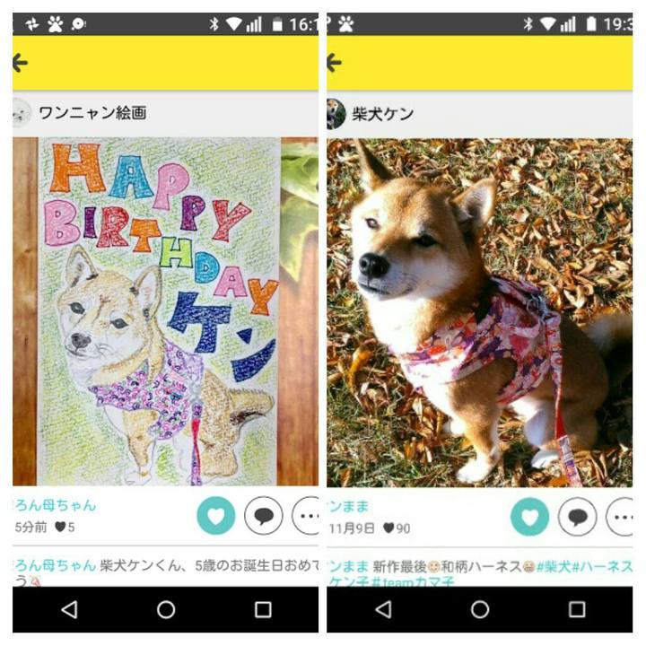 2cdd3b12 8a22 45fe 8d3a d04e6d861145 1512902505704