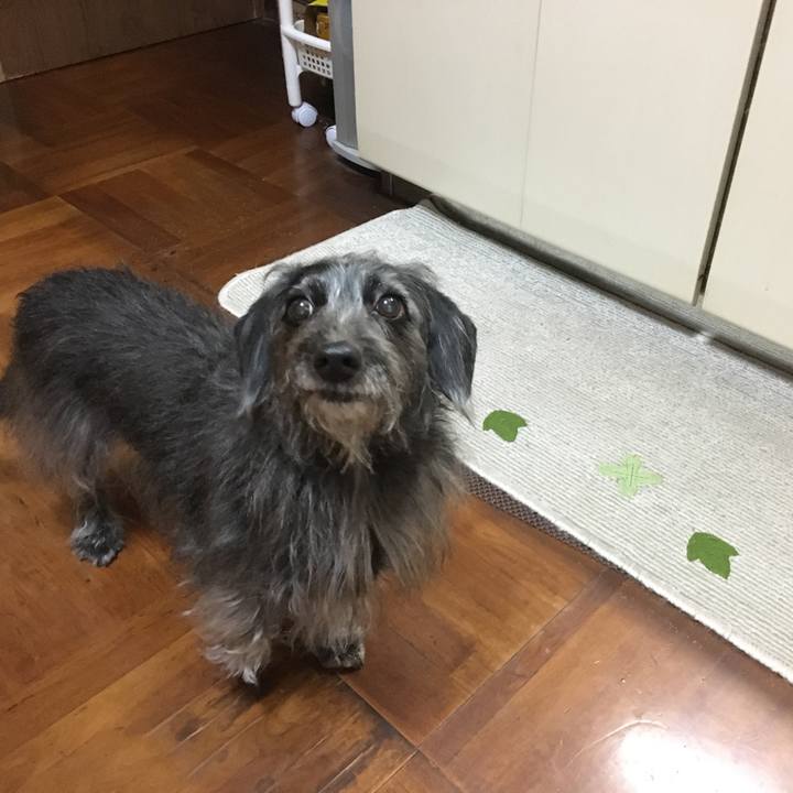 2cdd3c35 5c65 4288 9d64 e70edebaccb9 1580942341650