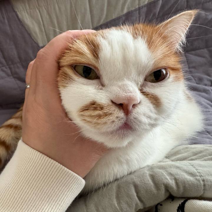 2cdda2da f761 4e80 9d9a fc903655a89d 1770444833169