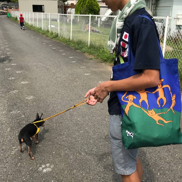 2cddc041 1e93 4a44 b430 a622648c5edb 1535249591431