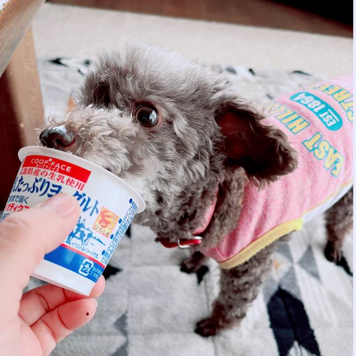 2cddc09d f780 49fa afe5 502b51d481a0 1683156839428