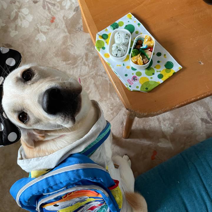 2cddcb12 0a48 4e2a bef8 7e16a81a64c1 1635293042695