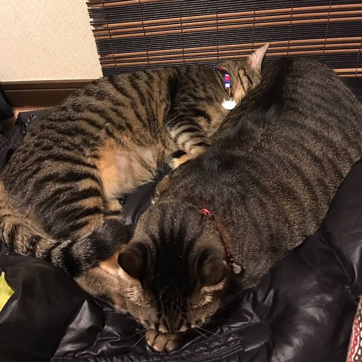 2cdde73d 37dc 4973 9fc8 2e986ad88aa7 1552141314140