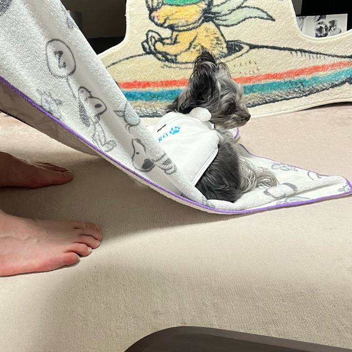 2cdde90b 564e 4b4b b1c2 d16940e41b18 1770295093568