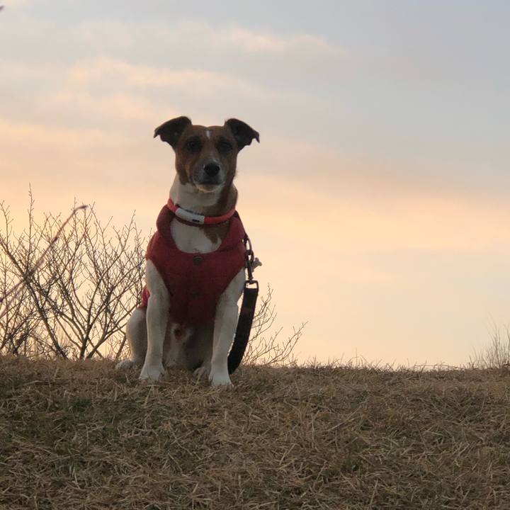 2cddf89d 1072 498f a717 cccc7cf28371 1547679696834