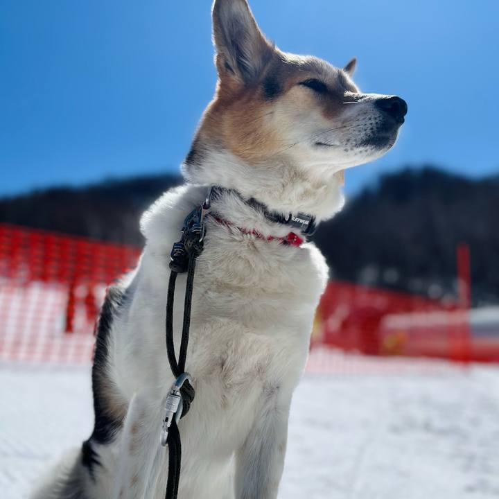 2cde0489 9cbf 4f6f 82a7 0817ffdbc95d 1773286806286