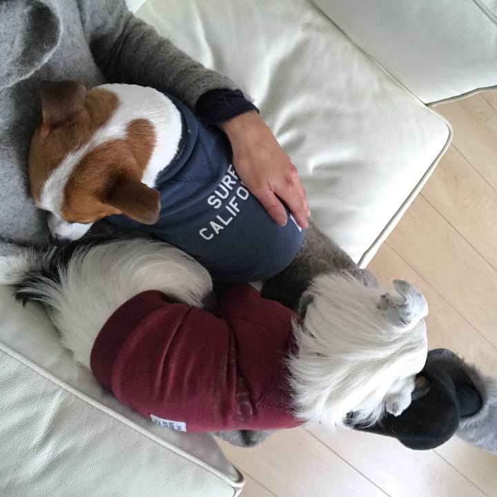 2cde10e7 386e 46bb 8ff4 e3ce4fba76df 1519179629834