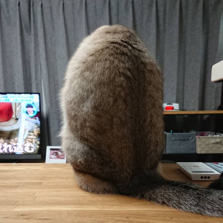 2cde119a e39c 42f5 9da1 41939bdb8c9f 1513127493945