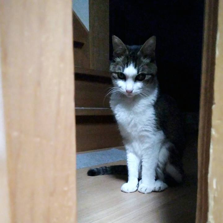 2cde2481 b5f7 4995 aa66 ffe2952a8456 1550056312643