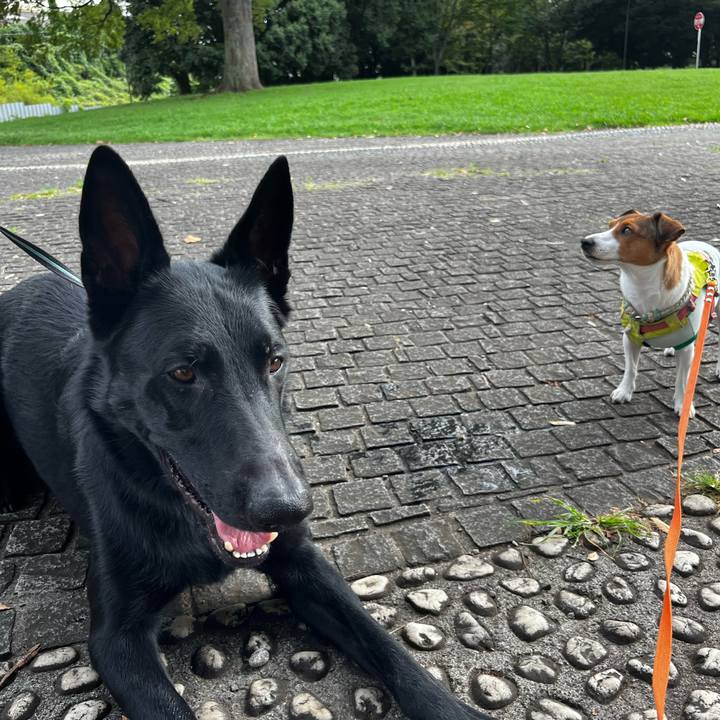 2cde4411 9754 4168 a052 a4cfba901696 1757924647010