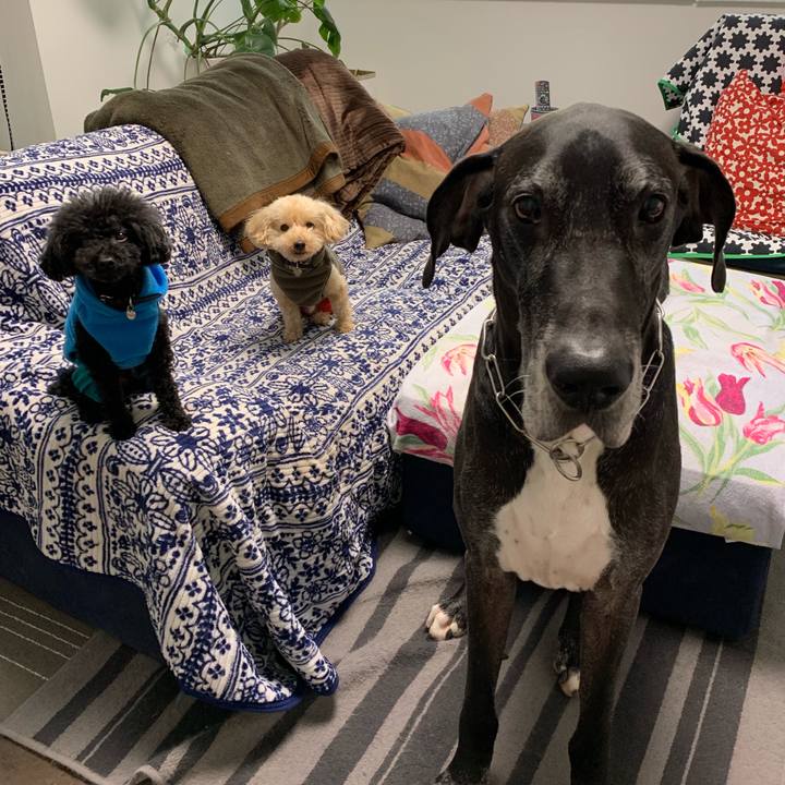 2cde5a9a 7b62 4d46 9151 8f9d4ea0a54f 1546814651882