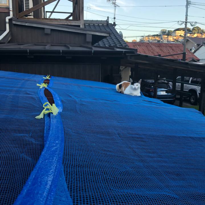 2cde6b63 80c1 4777 a749 9f1c0deee783 1600088238532