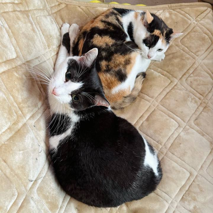 2cde8718 e33b 49b7 9480 9a6c64b1abcf 1669775936715